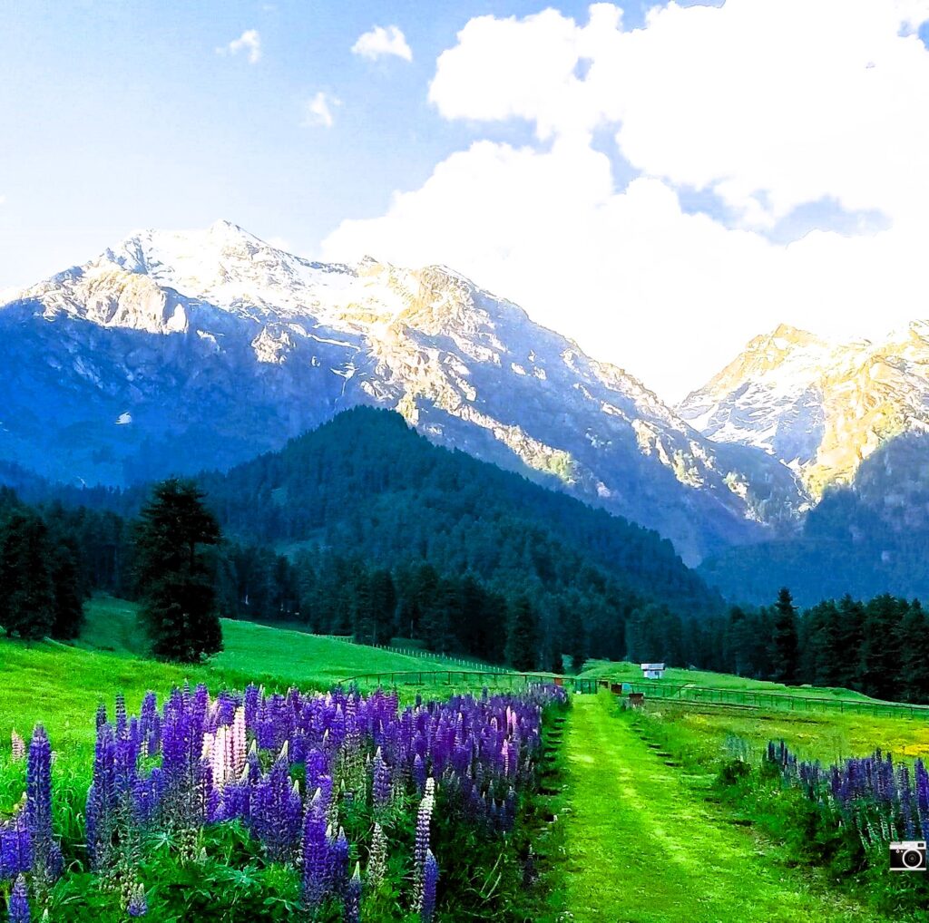 Why You Must Visit the most beautiful Kashmir This Summer