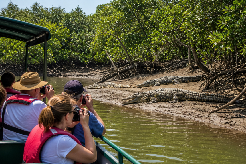 Tourists on boat safari watching saltwater crocodiles in Bhitarkanika National Park mangrove creeks Odisha India wildlife tourism