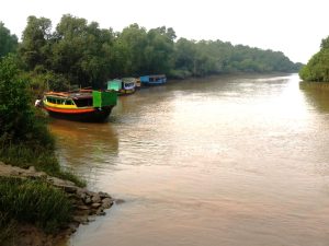 Why must tourists visit Bhitarkanika this winter?