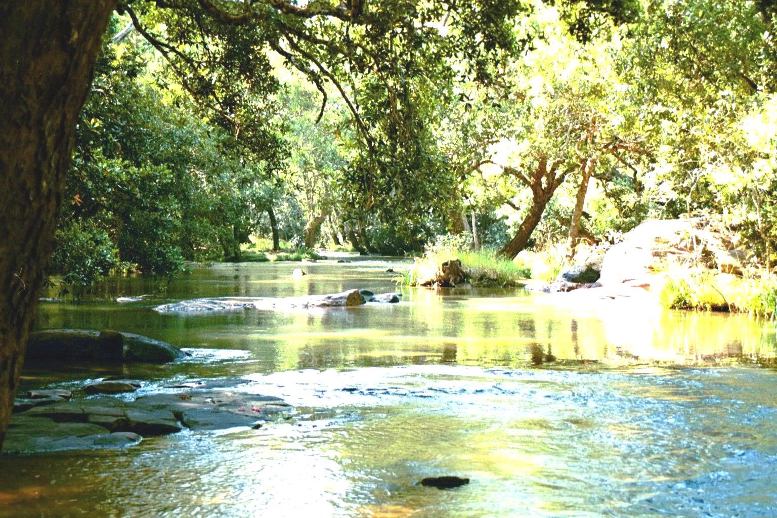 Unveil the Beautiful Secrets of The Picturesque Karnataka