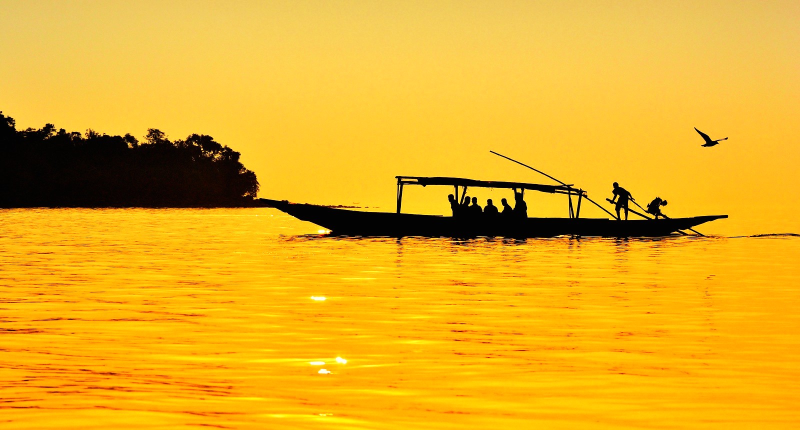 Enjoy the most beautiful Eastern Elegance - Cultural and Natural Odisha