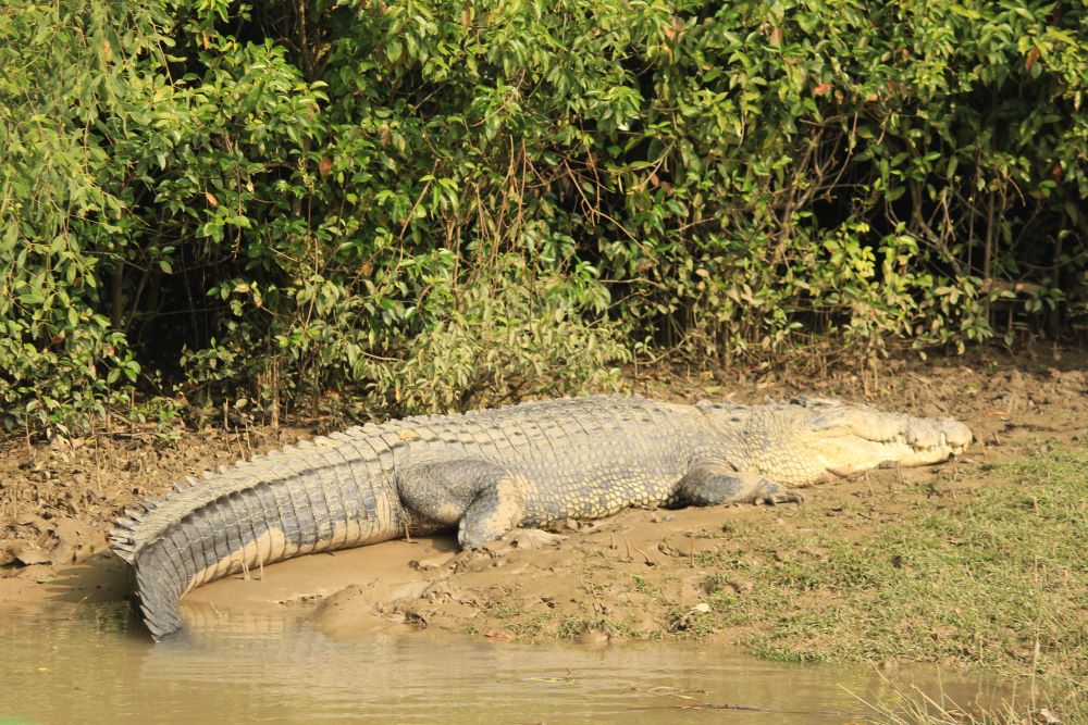 The Most Beautiful Offbeat Odisha Destinations from Kolkata