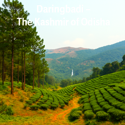 The Most Beautiful Offbeat Odisha Destinations from Kolkata