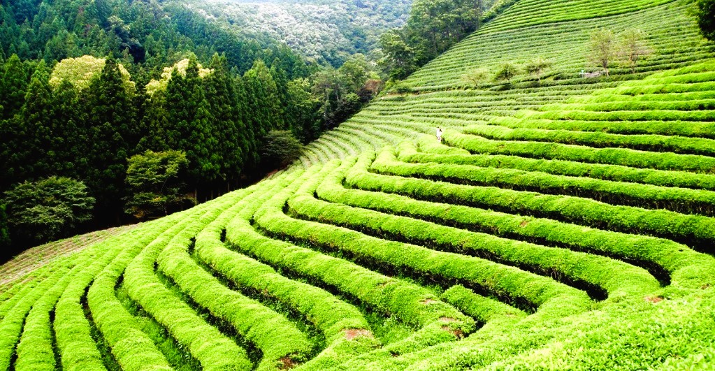 The Best India Itineraries for Travelers from Europe