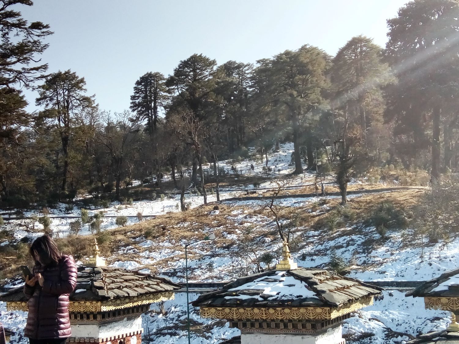 How to Plan the most perfect trip to beautiful Bhutan from Kolkata