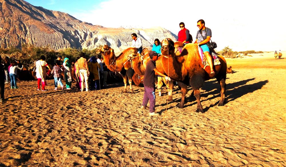 Book Your Dream Tour to Beautiful Ladakh This Summer!