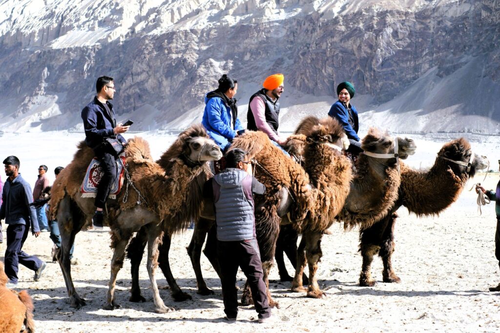 Top Reasons to Book Your Tour Package to Beautiful Ladakh