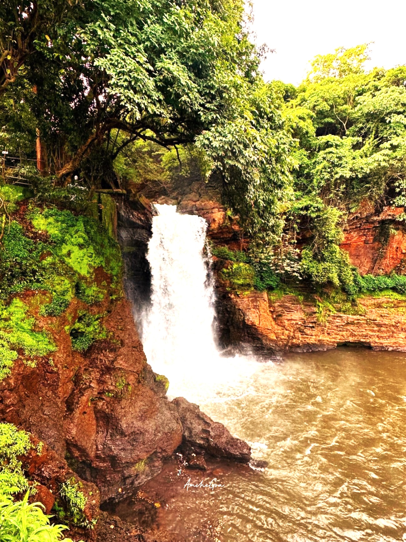 Discover the beauty of the offbeat Goa