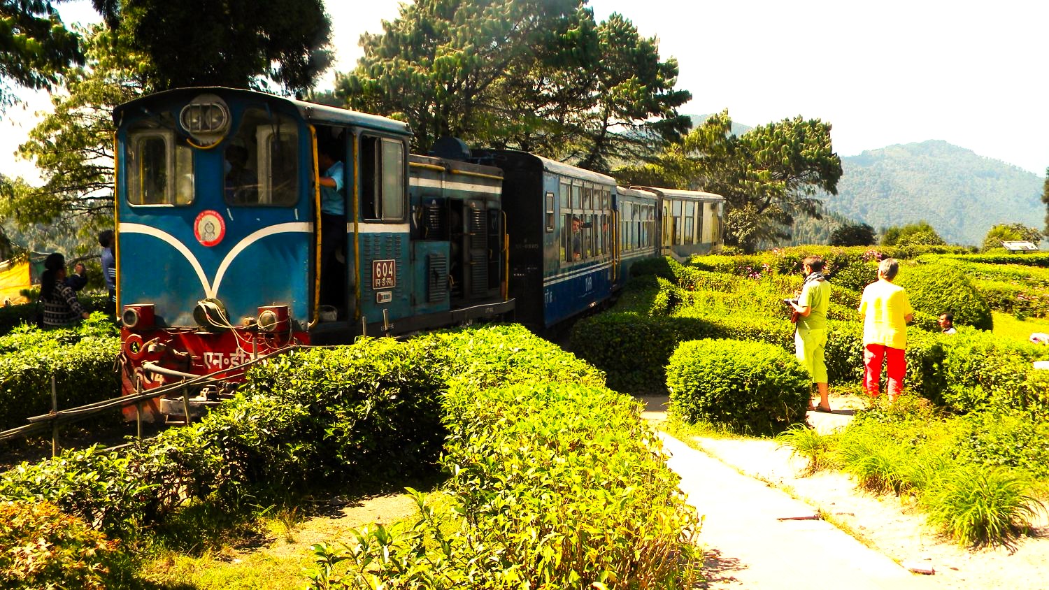 Most beautiful & best memorable Group Tours for Senior Citizens from Kolkata