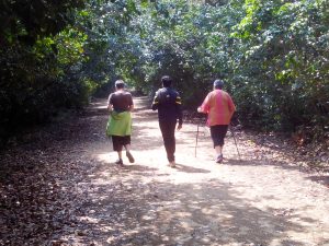 Why must tourists visit Bhitarkanika this winter?