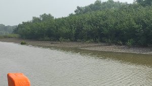 Why must tourists visit Bhitarkanika this winter?