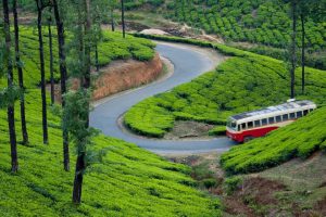 Make Your First Trip to beautiful Kerala Memorable With An Excursion2India Tour Package
