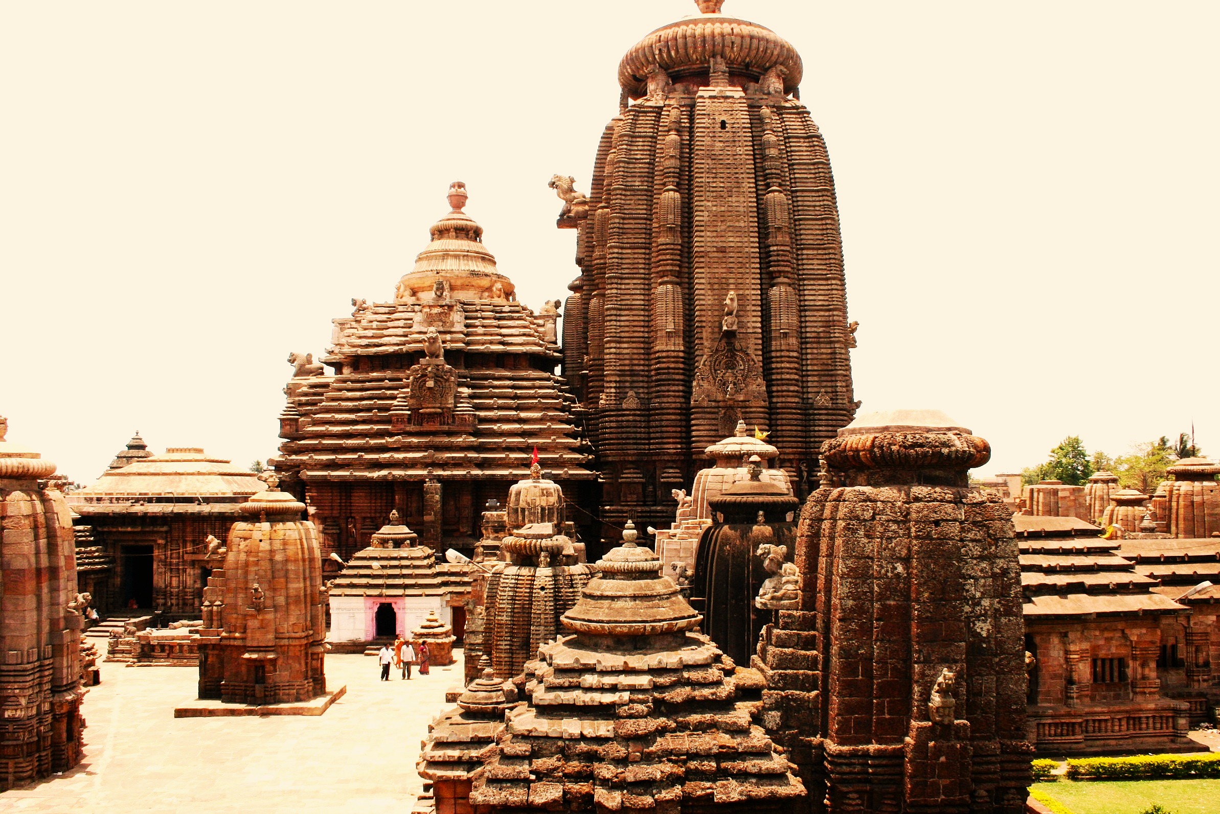 Enjoy the most beautiful Eastern Elegance - Cultural and Natural Odisha