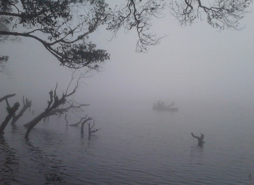 Top 10 Most Beautiful Monsoon Destinations from Kolkata