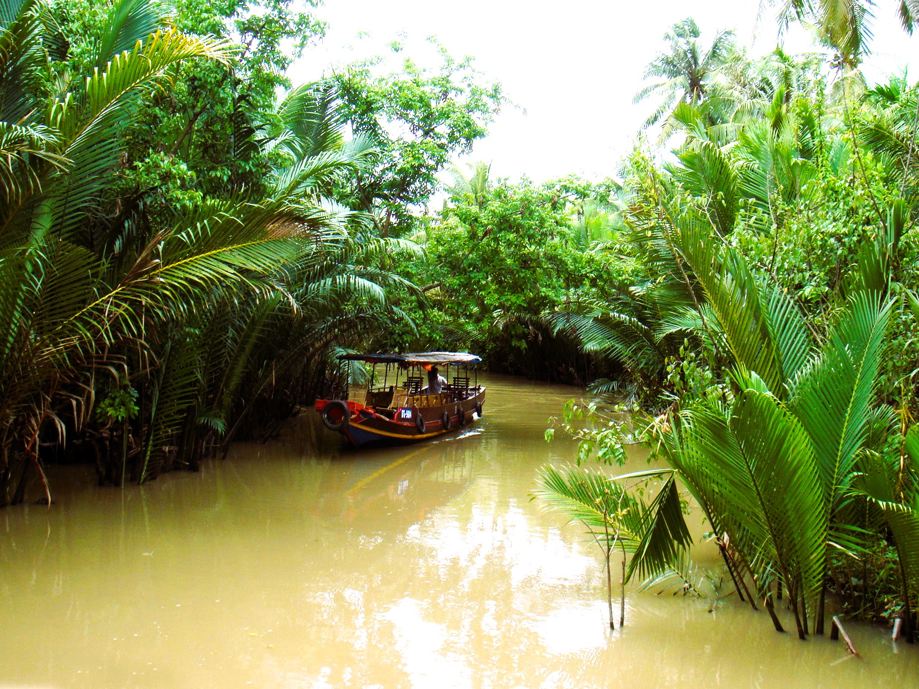 Explore The Magical Vietnam