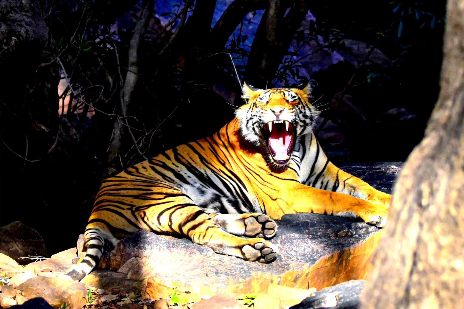 India Tours from France