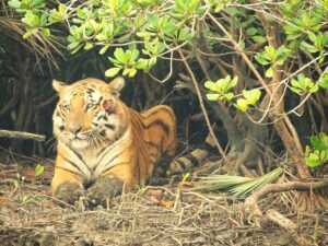 Top 10 beautiful family vacations from Kolkata your kids will love!