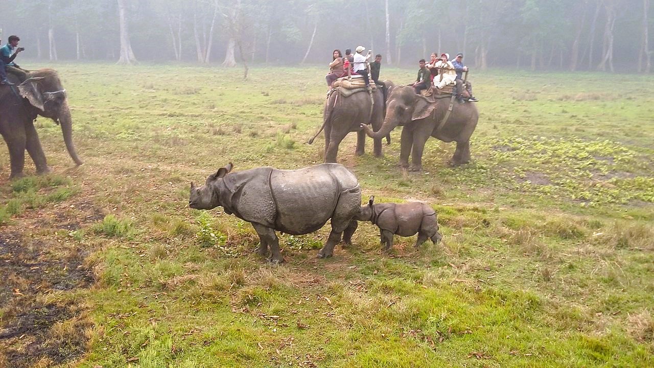 The best guide to a multi-country tour to the beautiful India, Bhutan, and Nepal