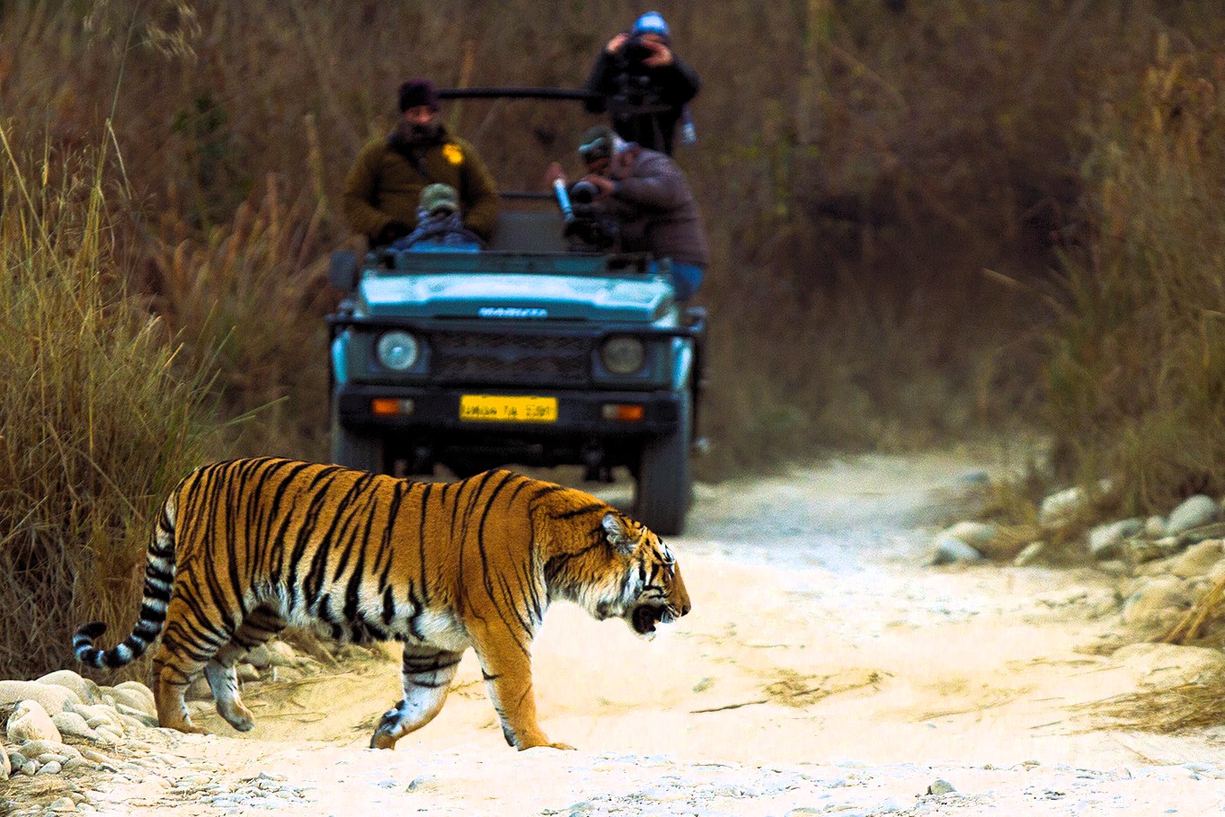Let’s Travel to Uttarakhand with These Tour Packages