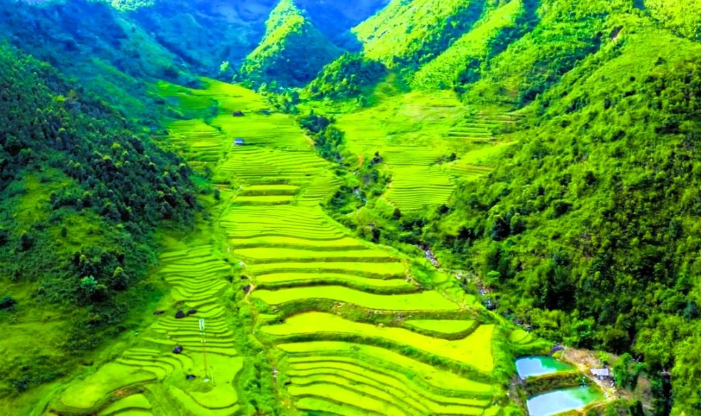 Tips before traveling to the most beautiful and coolest Vietnam