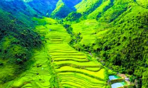 Tips before traveling to the most beautiful and coolest Vietnam