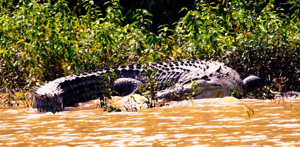 Unveiling the most beautiful Odisha's best hidden off beat treasures