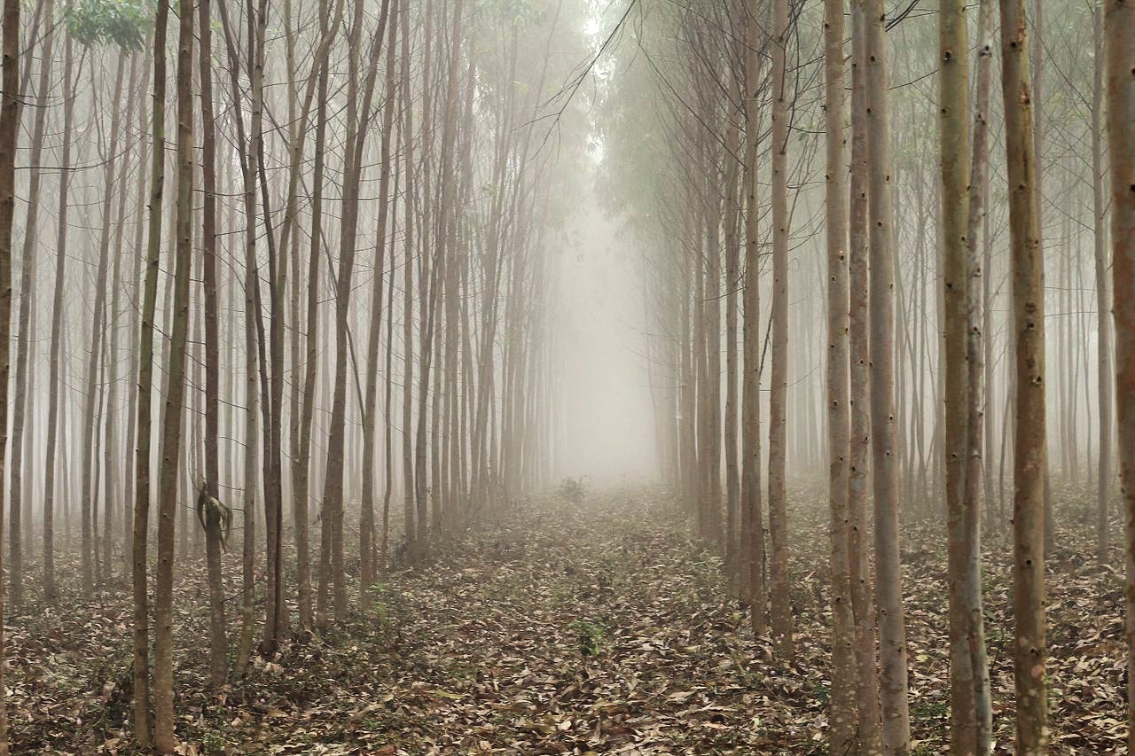 Offbeat Destinations Bengalis Love – Discover Hidden Gems Beyond the Usual