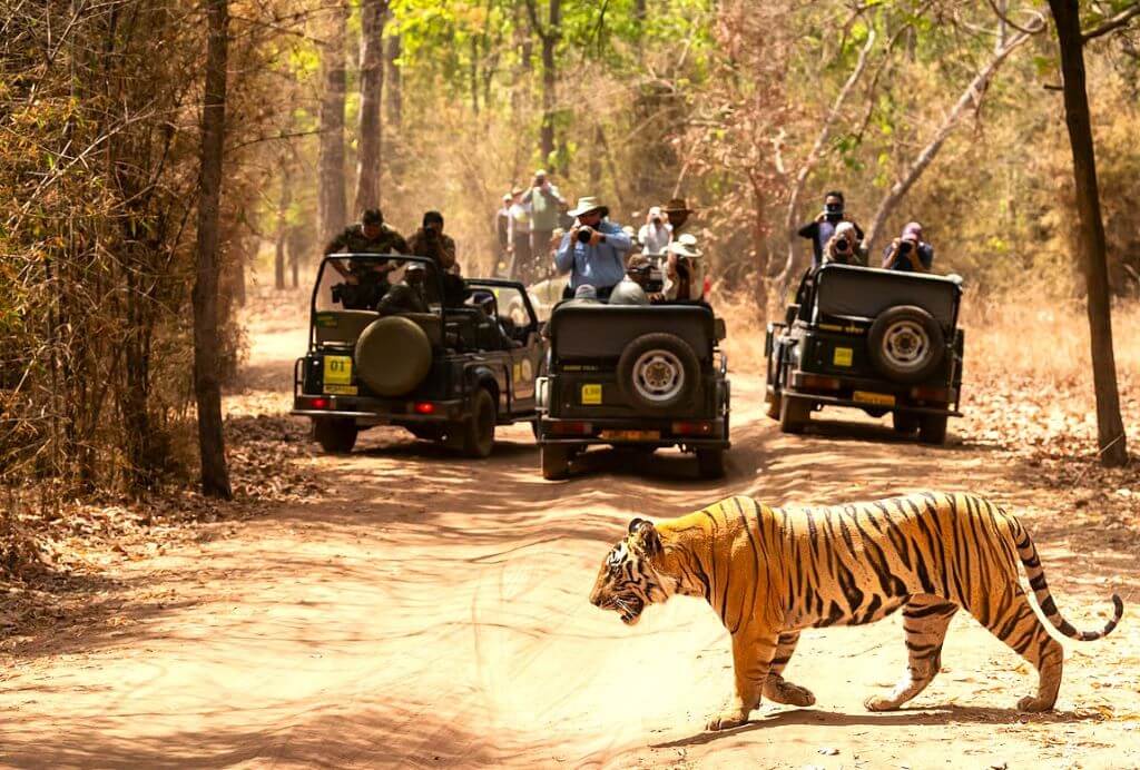 How to Travel Across India Comfortably & Authentically