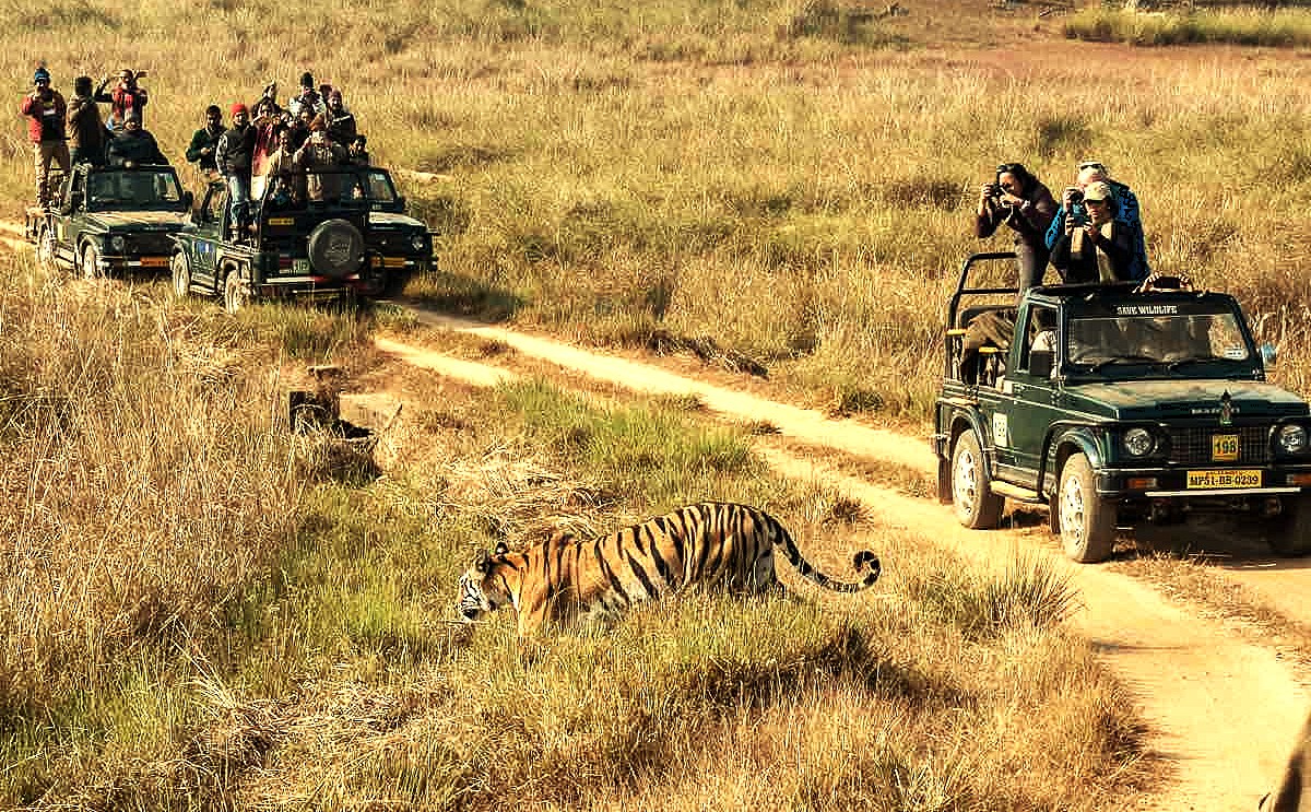 The Biggest Mistakes Foreign Travelers Make in India