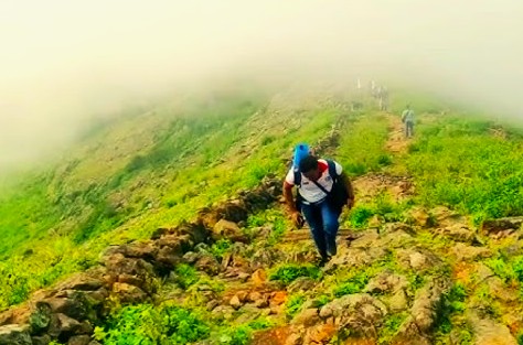 Enjoy Trekking, Camping, and the best Nature at beautiful Deomali Hills