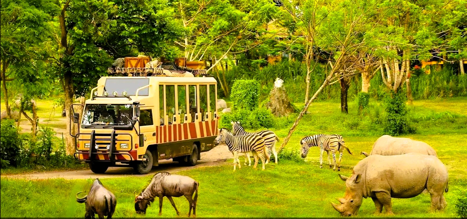 Holidays for families and kids in the most beautiful Vietnam with travel packages from Kolkata, Delhi, and international destinations