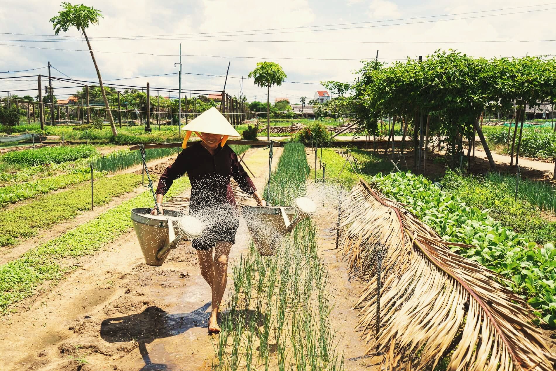 Explore beautiful rural Vietnam; Enjoy nature resorts and homestays in the best villages