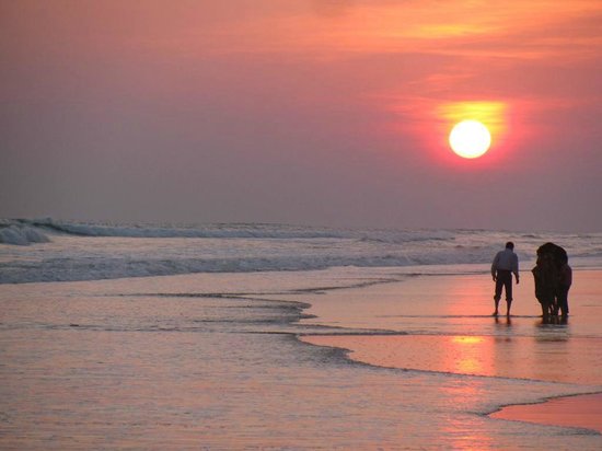 Top 4 Reasons You Need To Book An Odisha Tour Package Now